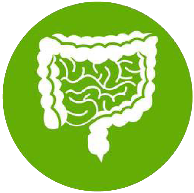 關(guān)注職場“腸”態(tài)，守護員工健康——上海格瑞特特邀消化內(nèi)科專家公益系列講座（4）(圖1)