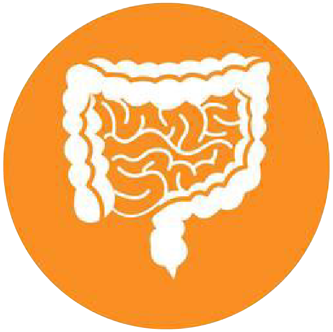 關(guān)注職場“腸”態(tài)，守護員工健康——上海格瑞特特邀消化內(nèi)科專家公益系列講座（4）(圖4)